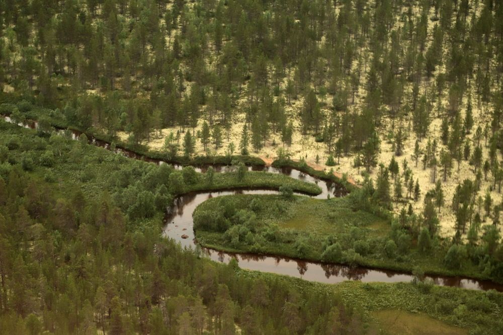 Photograph by Лада Денисова