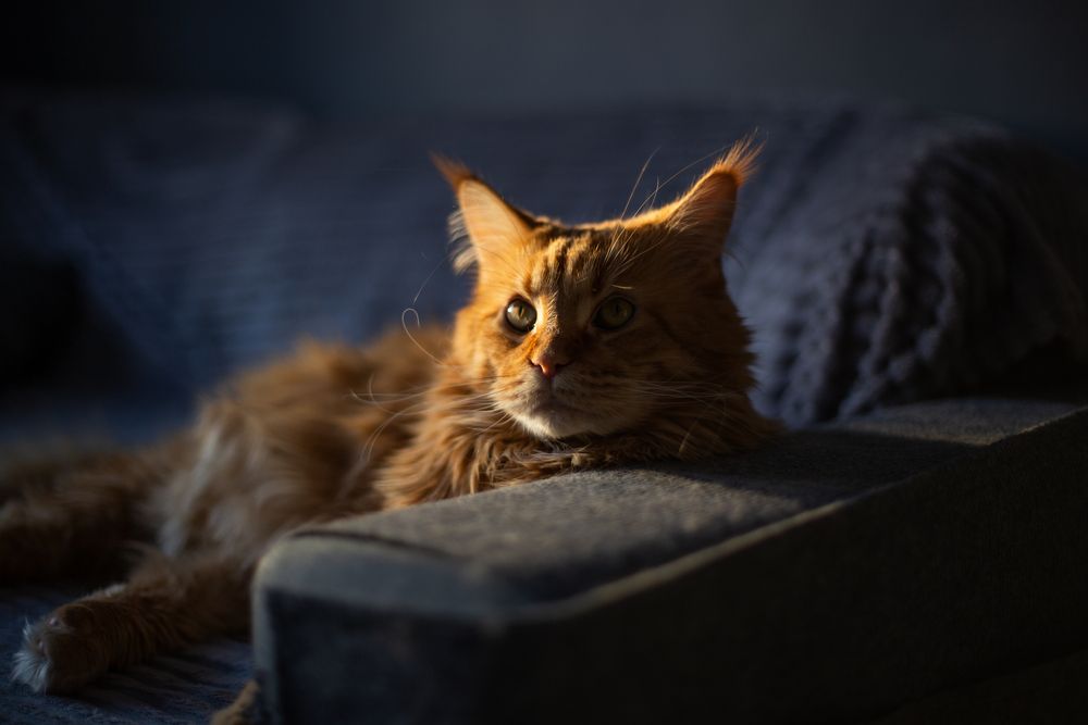 Photograph by Ruslan Hellsing