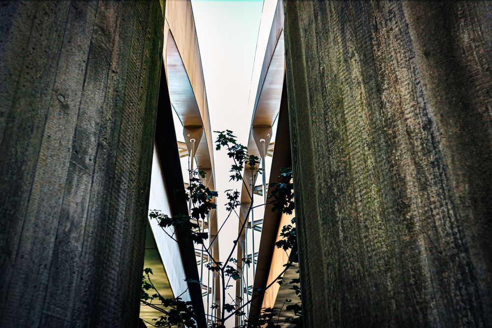 Фотография автора Eva Wiedemann