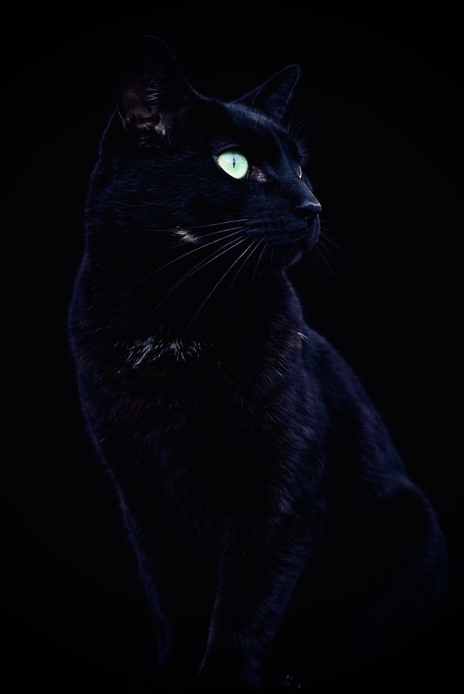 Elegance