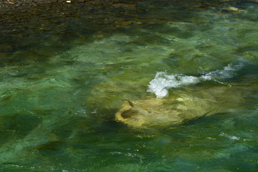 Photograph by Володин Андрей