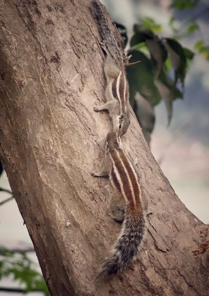 Photograph by Washiful Majid