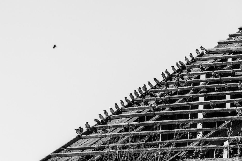 Photograph by Людмила Аксенова
