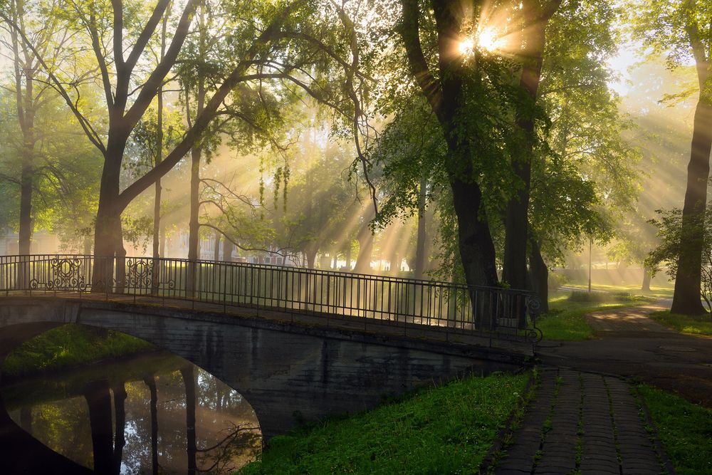 В старом парке...