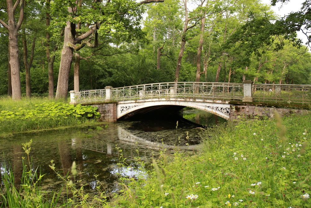 Photograph by Марина Юрченко