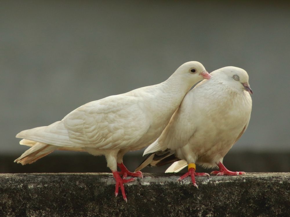 Photograph by Washiful Majid