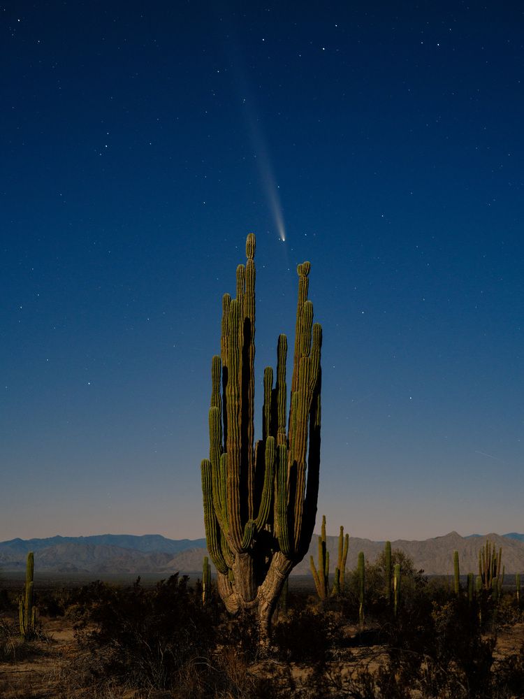 Photograph by Eliud Gil Samaniego