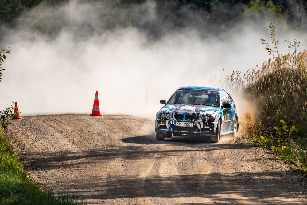 Фотография автора Dace Spalvina