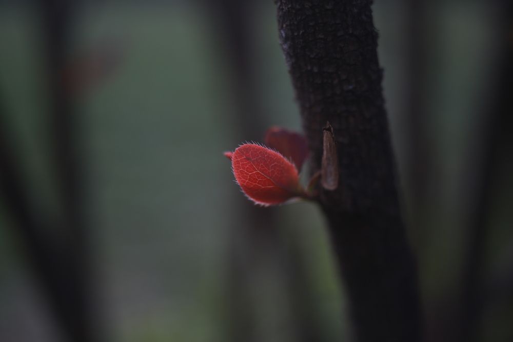 Photograph by Юлия Зеляник