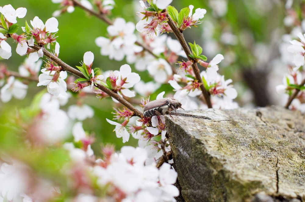 Photograph by Светлана Кудянова