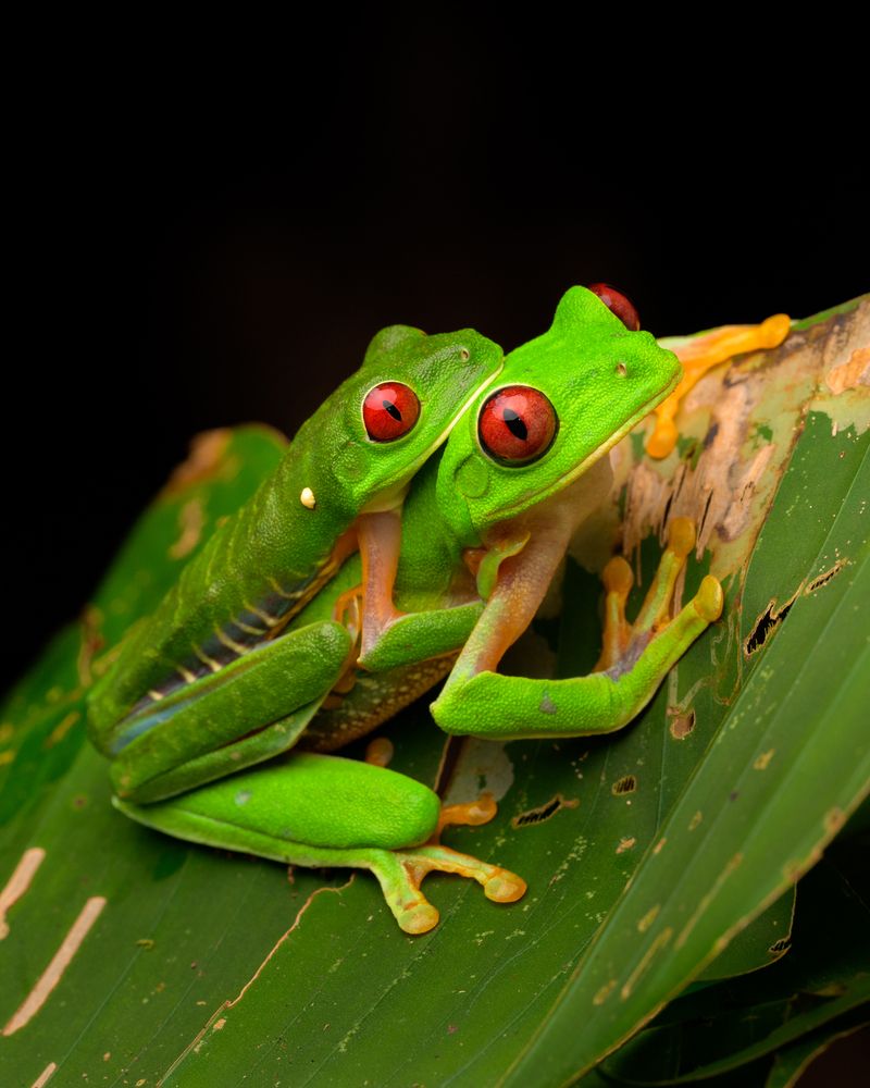 Photograph by Eliud Gil Samaniego