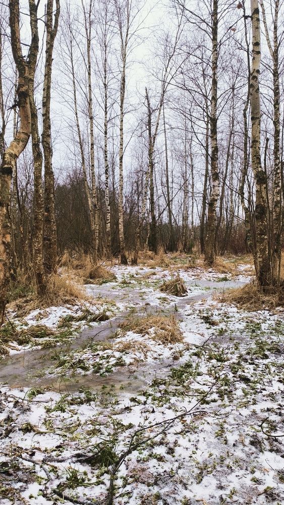 Photograph by Ольга Репина