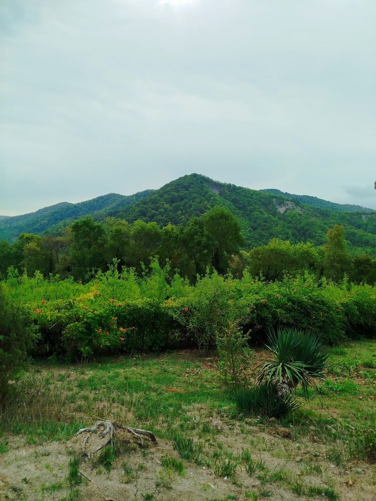 Photograph by Слесарева Елизавета