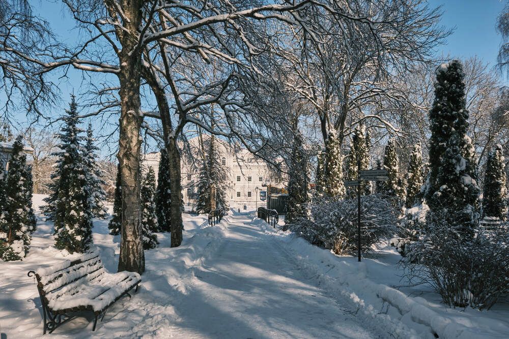 Фотография автора Александр Асланов