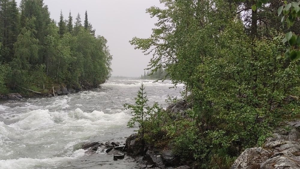 Photo #13297296