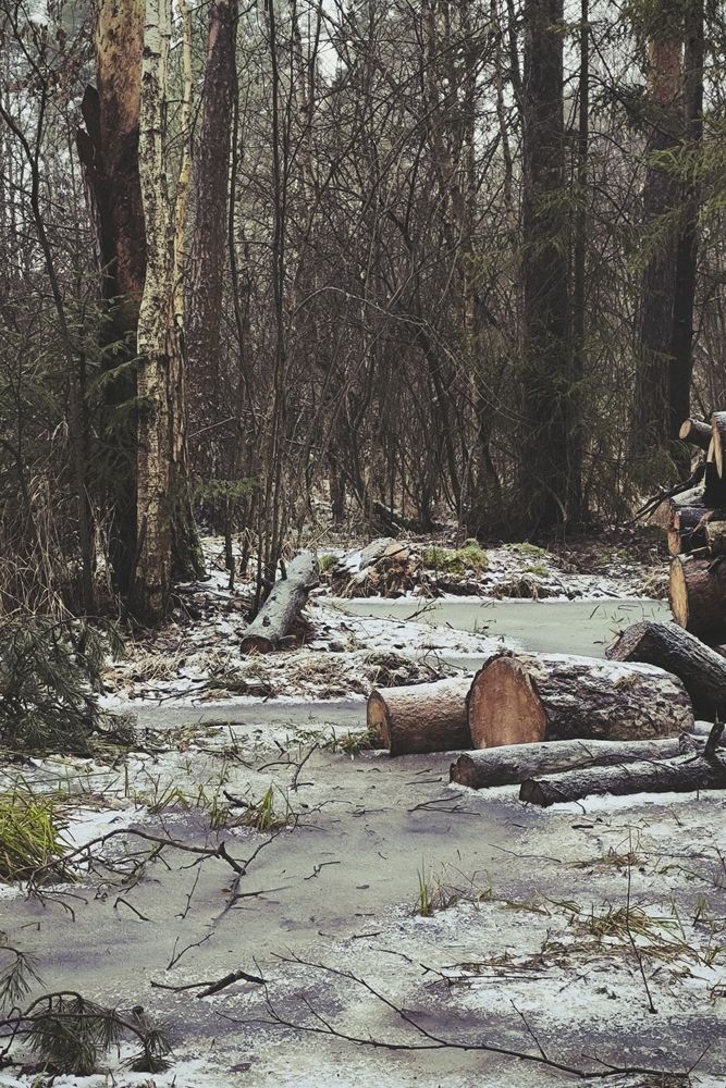 Photograph by Ольга Репина