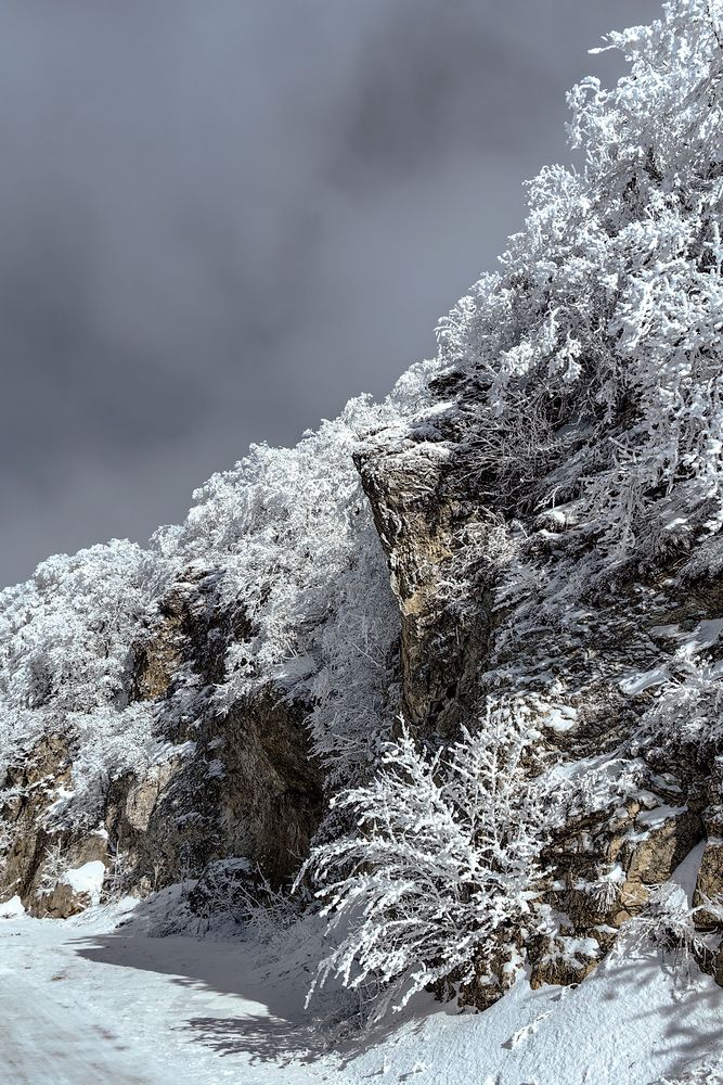 Photograph by Igor Maksimenko