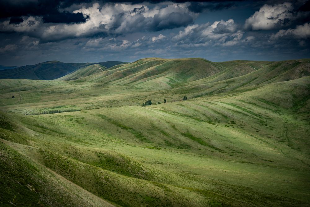 Photograph by Копылец Юрий
