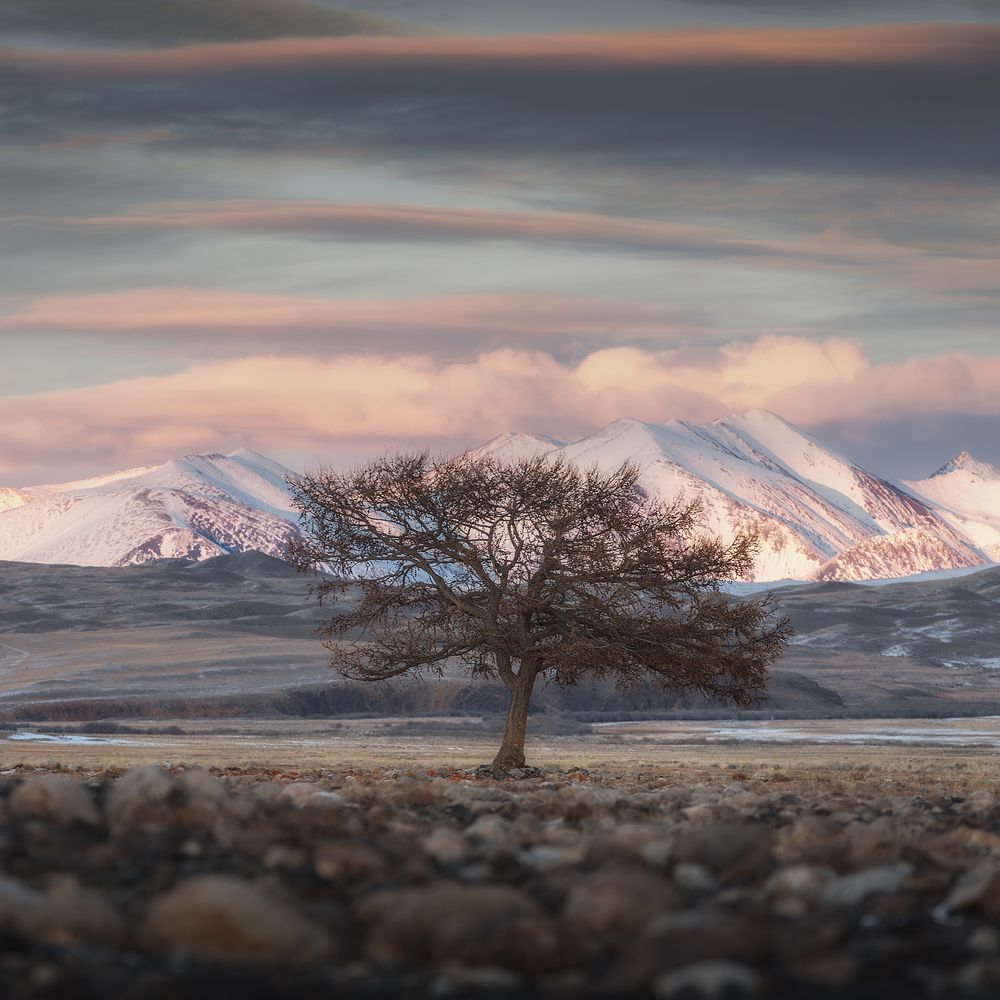 Photograph by Антон Шваин