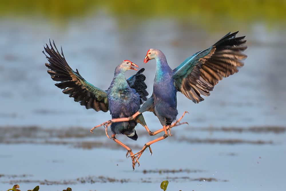 Photograph by Mandeep Singh Chhabra