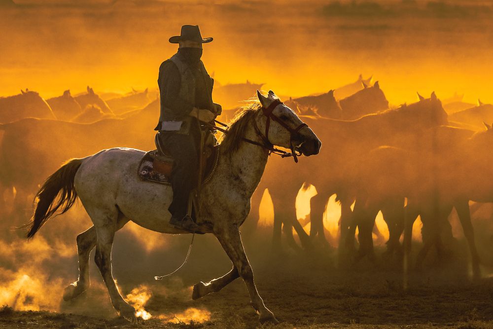 Photograph by ibrahim UTANIR