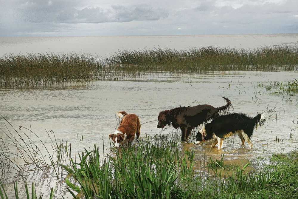 Фотография автора Viviana García