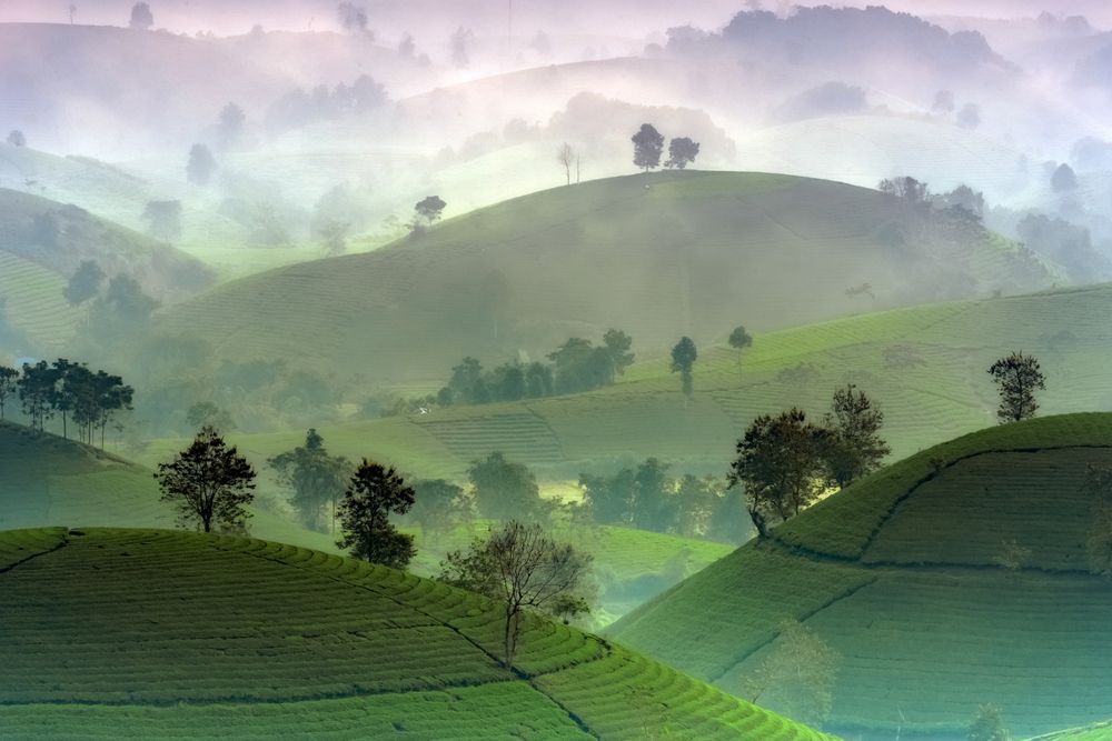 Фотография автора Lê Huy Anh