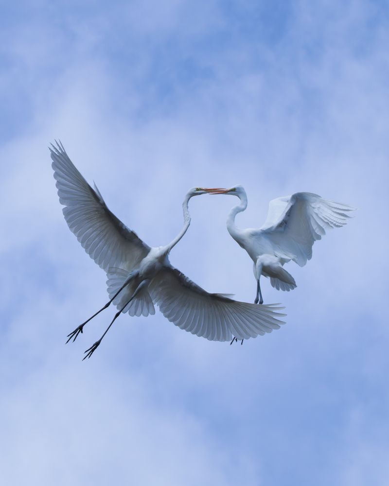 Photograph by KOHAGI