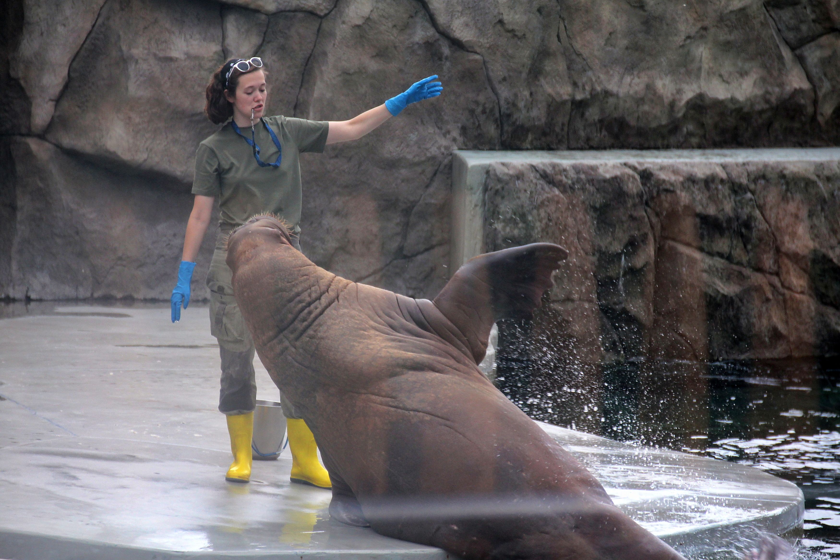 Photograph by Андрей Хитров