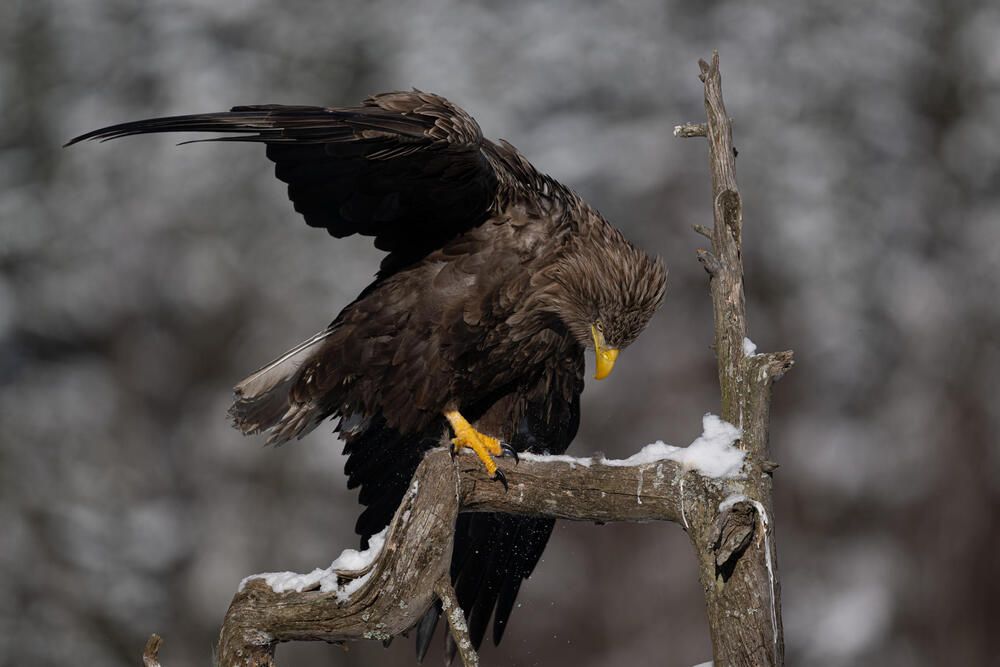 Photograph by Александр Белов