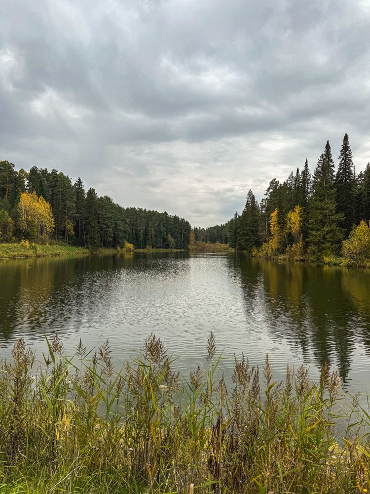 Photograph by Ольга Имамкулиева