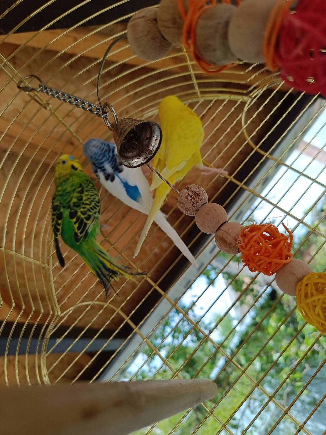 Photo #13297754