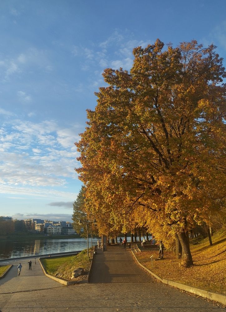 Photograph by Алёна Васильева