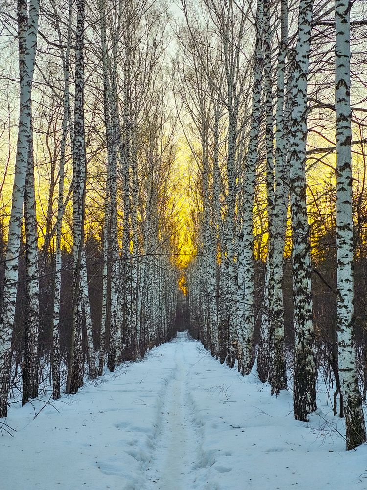 Photograph by Сергей Кесаев