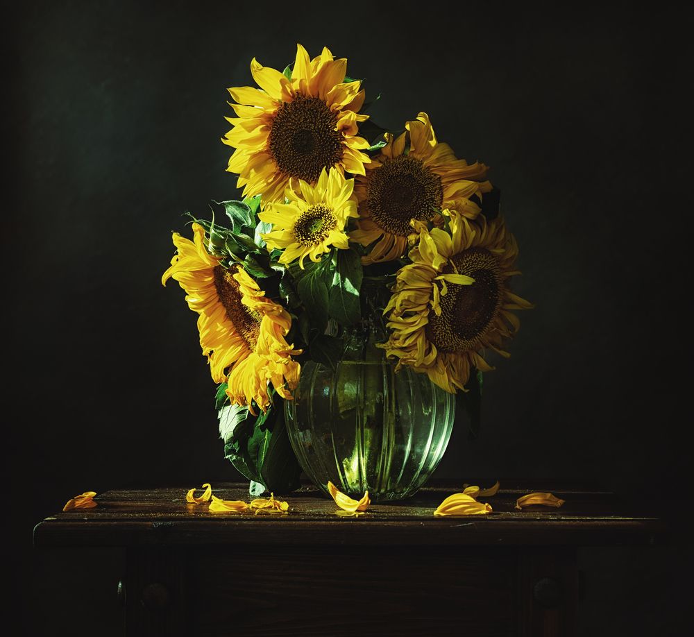 Photograph by Александрова Александра