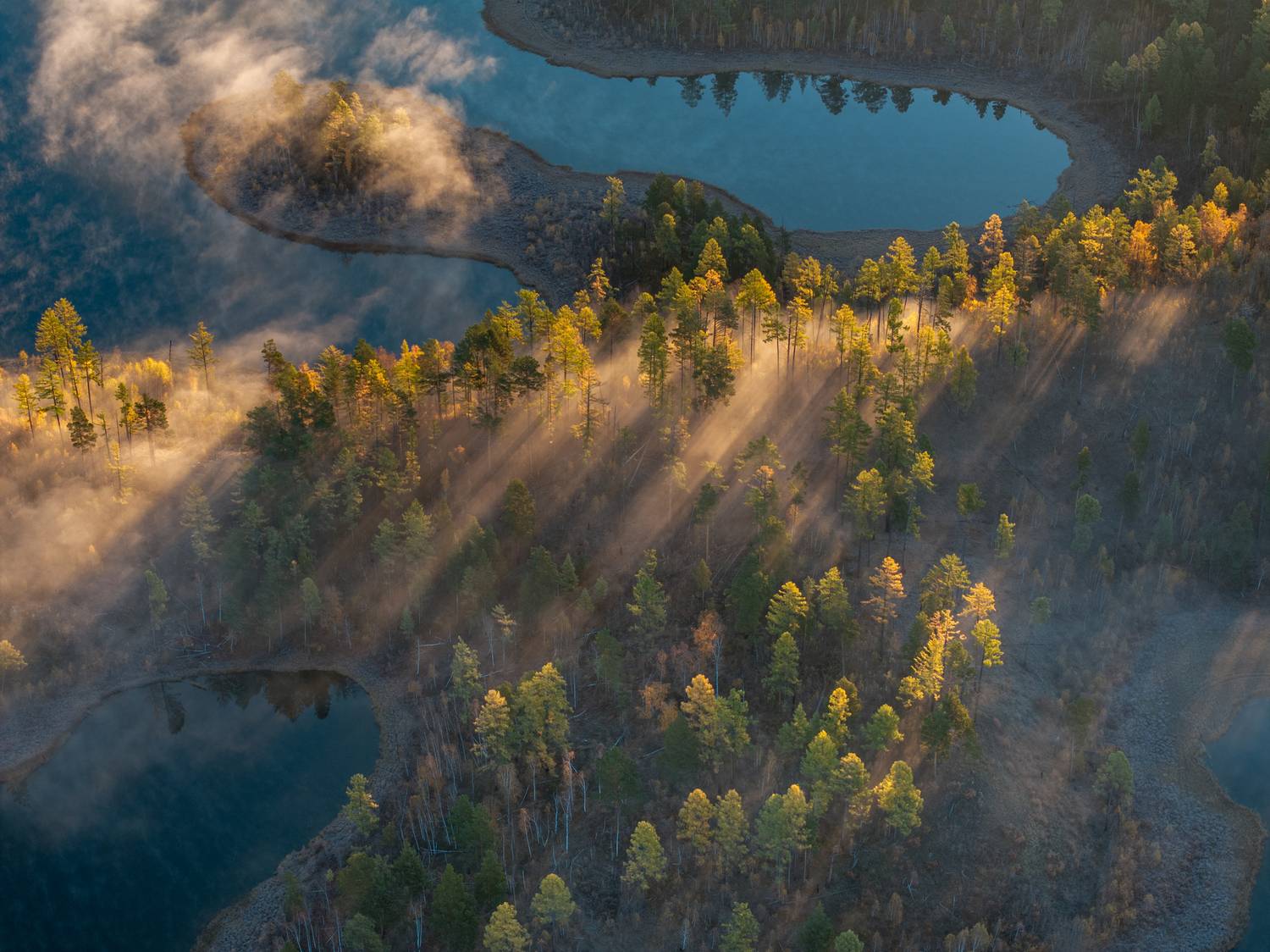 Волшебство утра