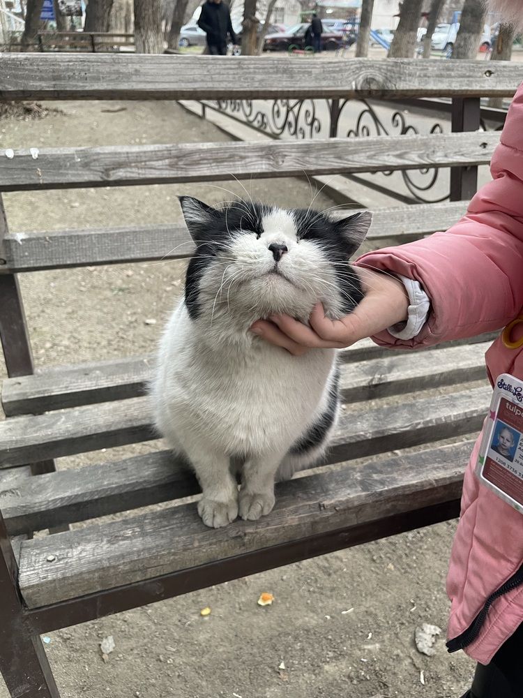 Photograph by Дарья Ларченко