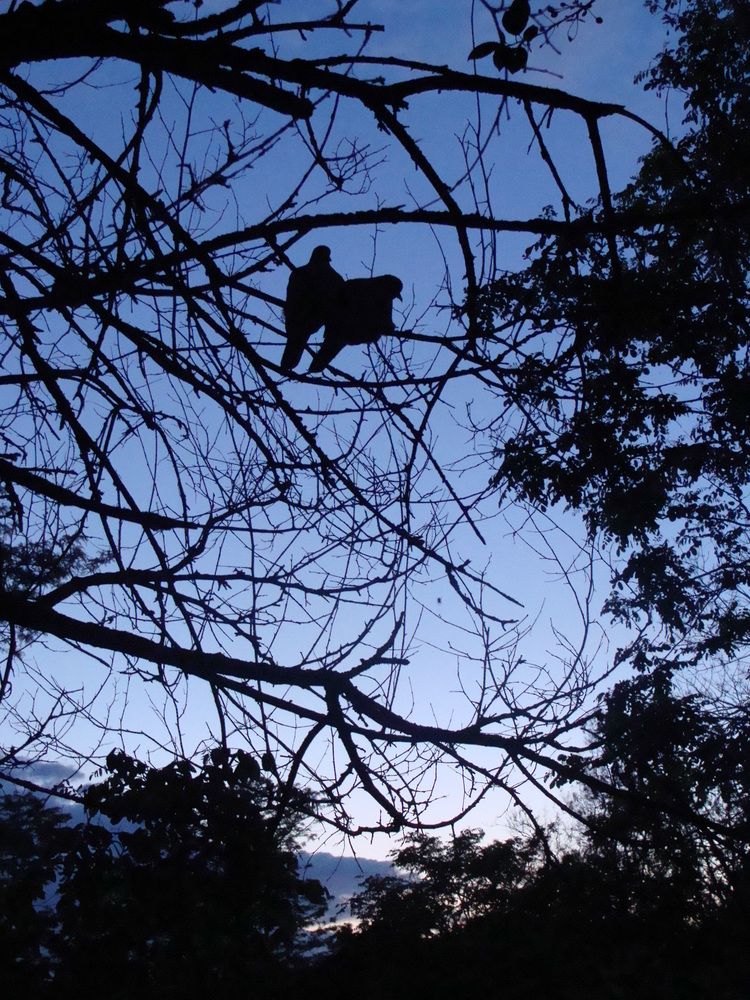 \"Любимая, я подарю тебе звезду...\"