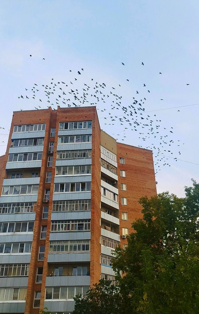 Photograph by Ельцов Владимир