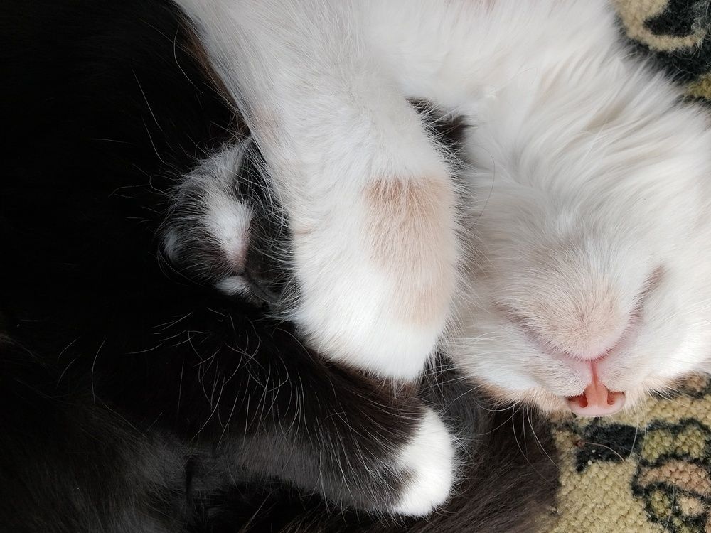 \"Мне хорошо с тобой\"