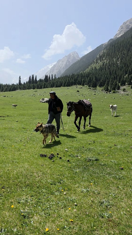 Photograph by Заира