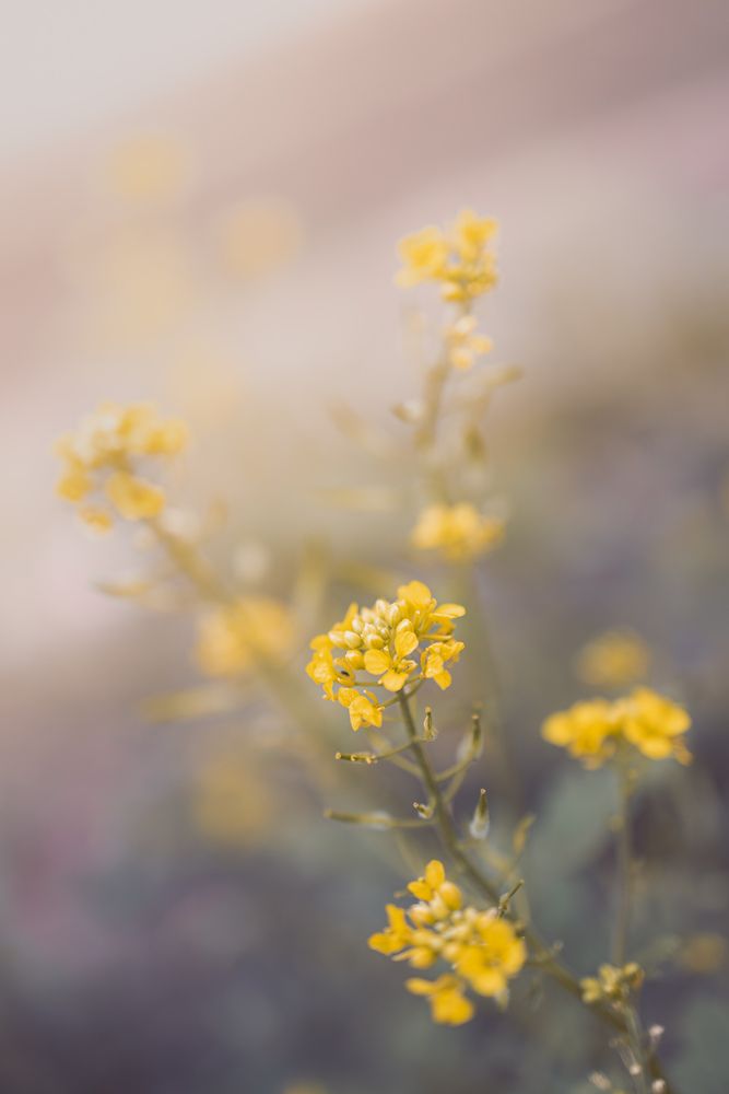 Photograph by Larysa Pinner
