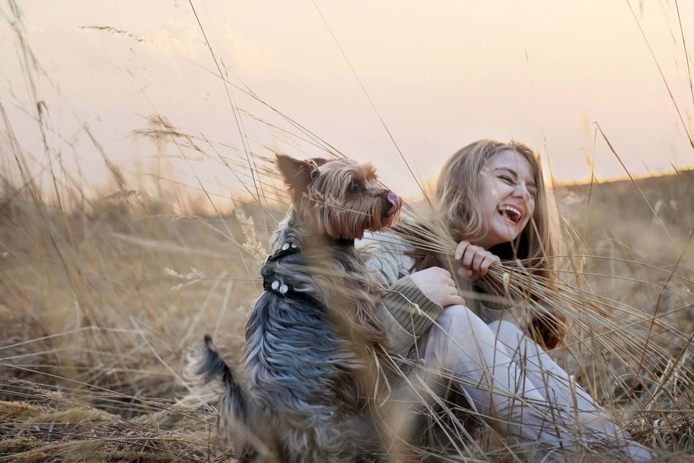 Photograph by Наталья Шумиловская