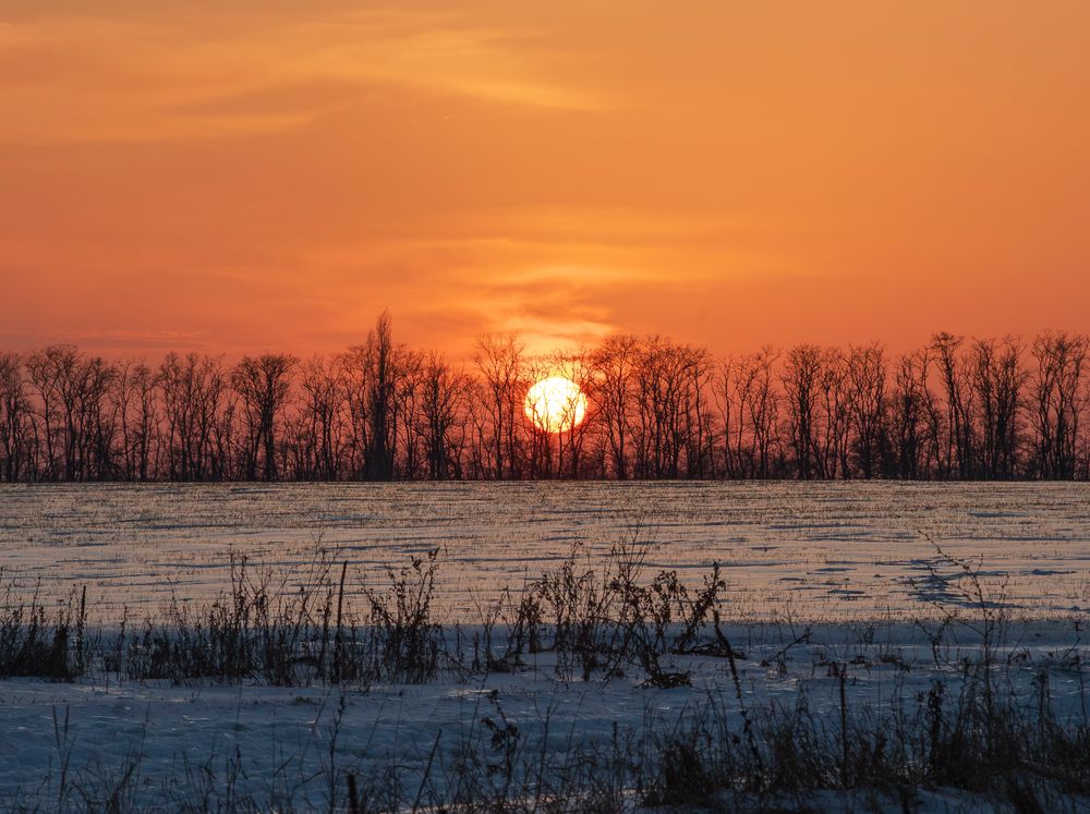 Фотография автора Федор Архипов