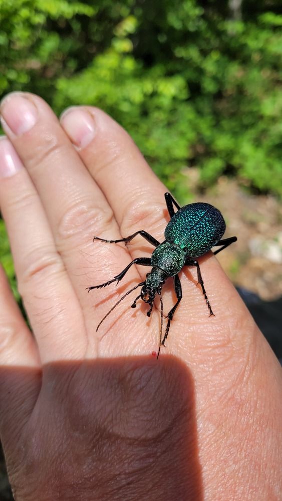 Photograph by Дерезюк Юрий Александрович