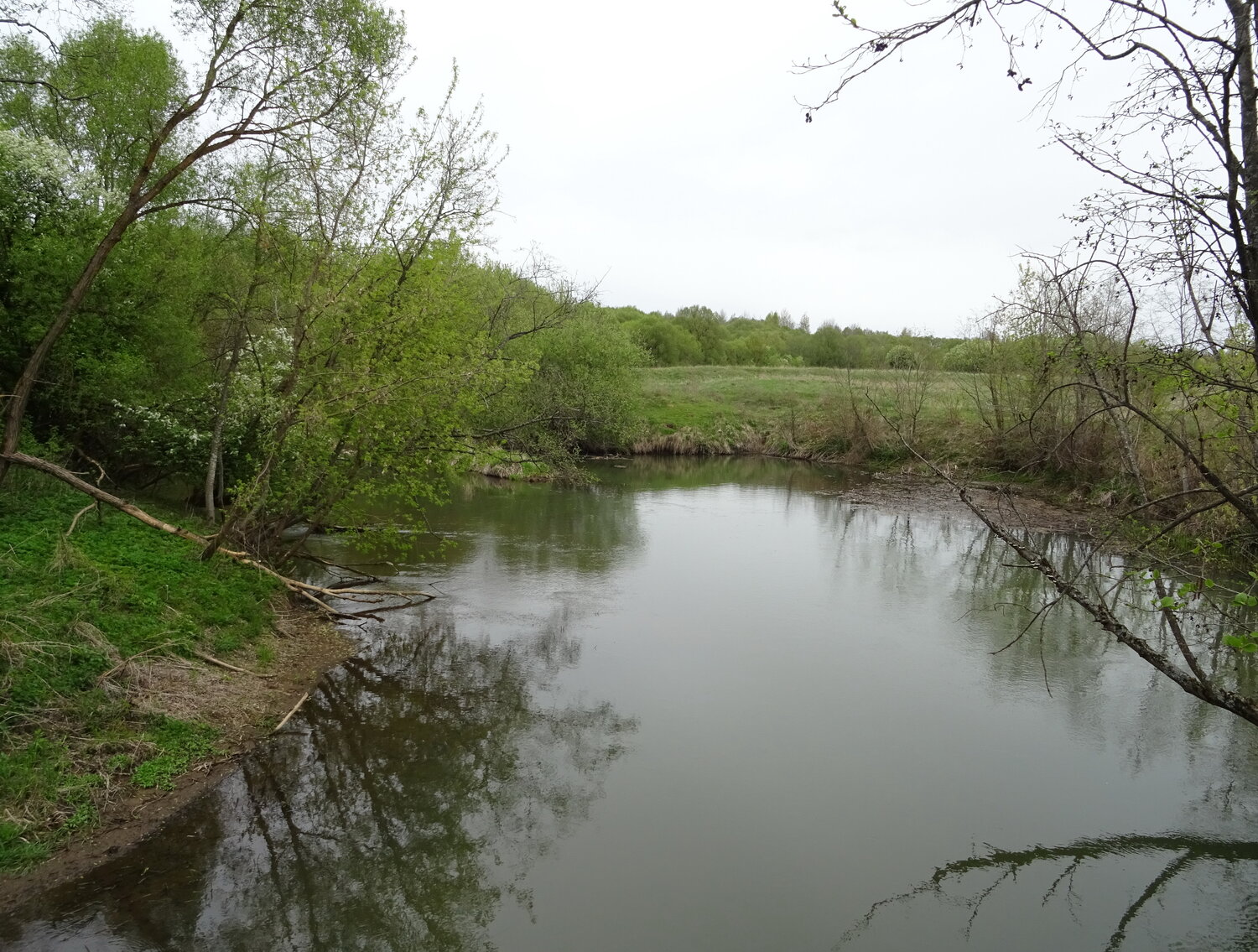 Photo #13298247