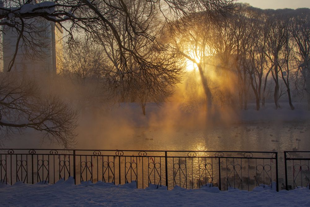 Photograph by Анастасия Северюхина