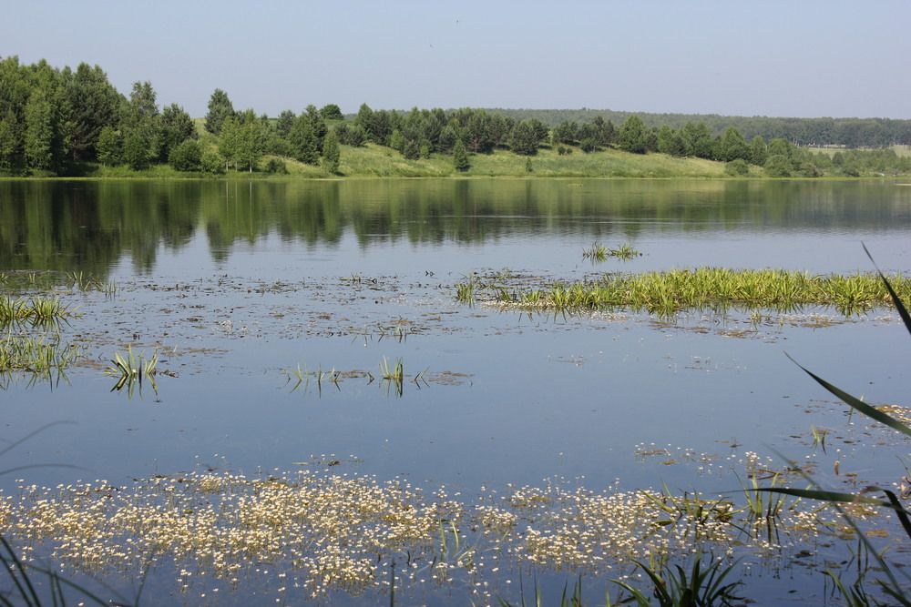 Photograph by Марина Лосева