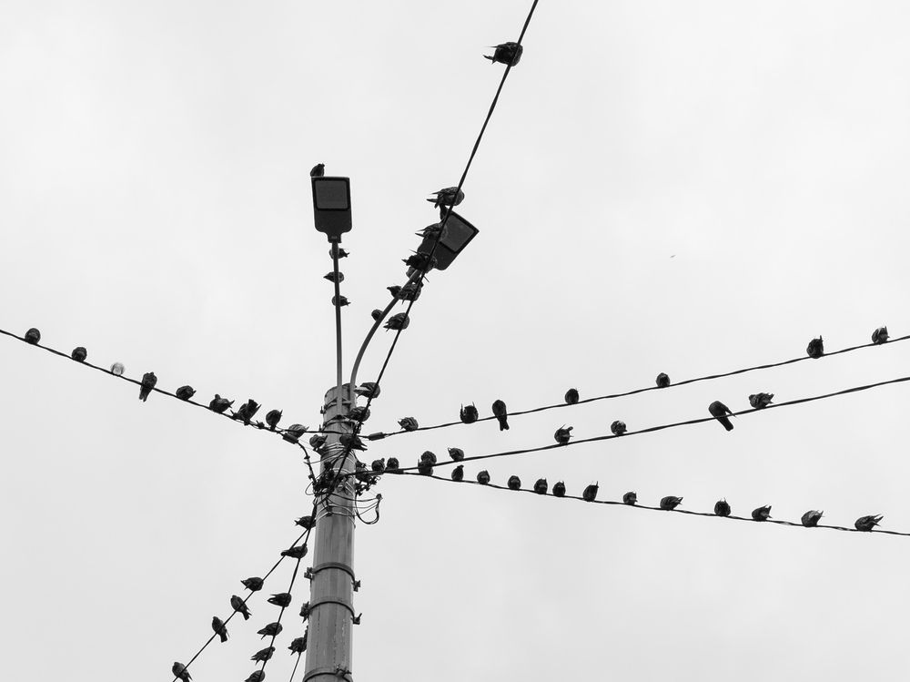 Photograph by Катаругин Дмитрий