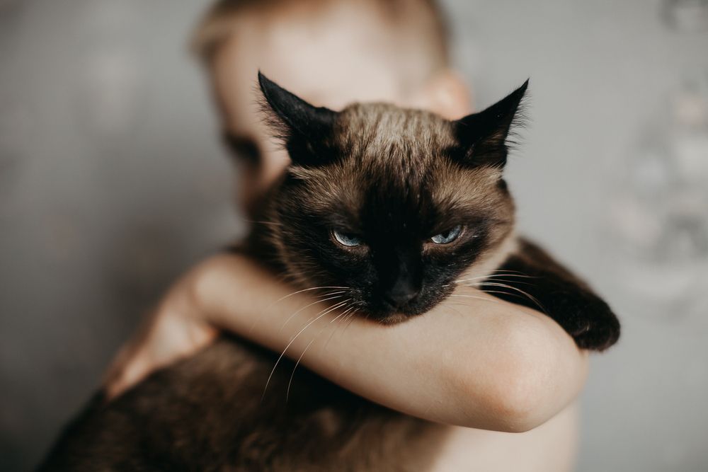 Photograph by Натали Захарова (Тай)